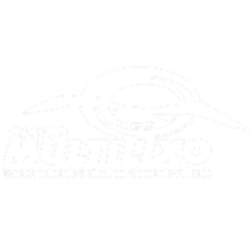 Novo-Projeto-3